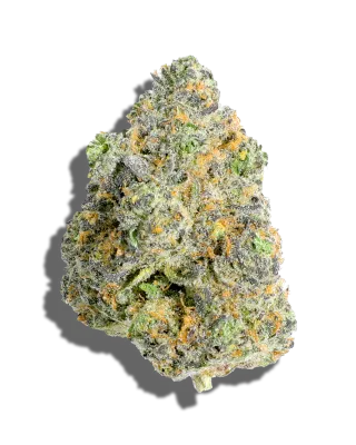 BLACK AMBER THC-A FLOWER-I