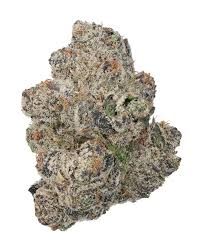 KANDY RUNTZ  THC-A FLOWER-H