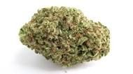 PAPAYA PUNCH THC-A FLOWER-I