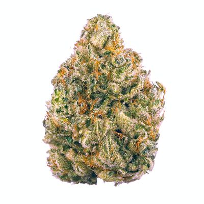 OBAMA RUNTZ THC-A RESERVE FLOWER-I