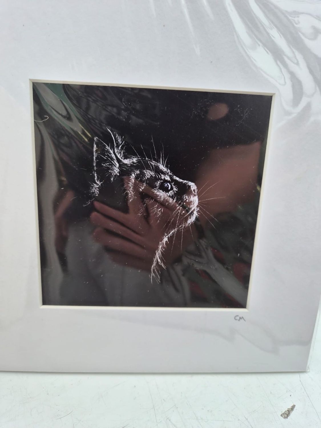 Square Prints Wildlife