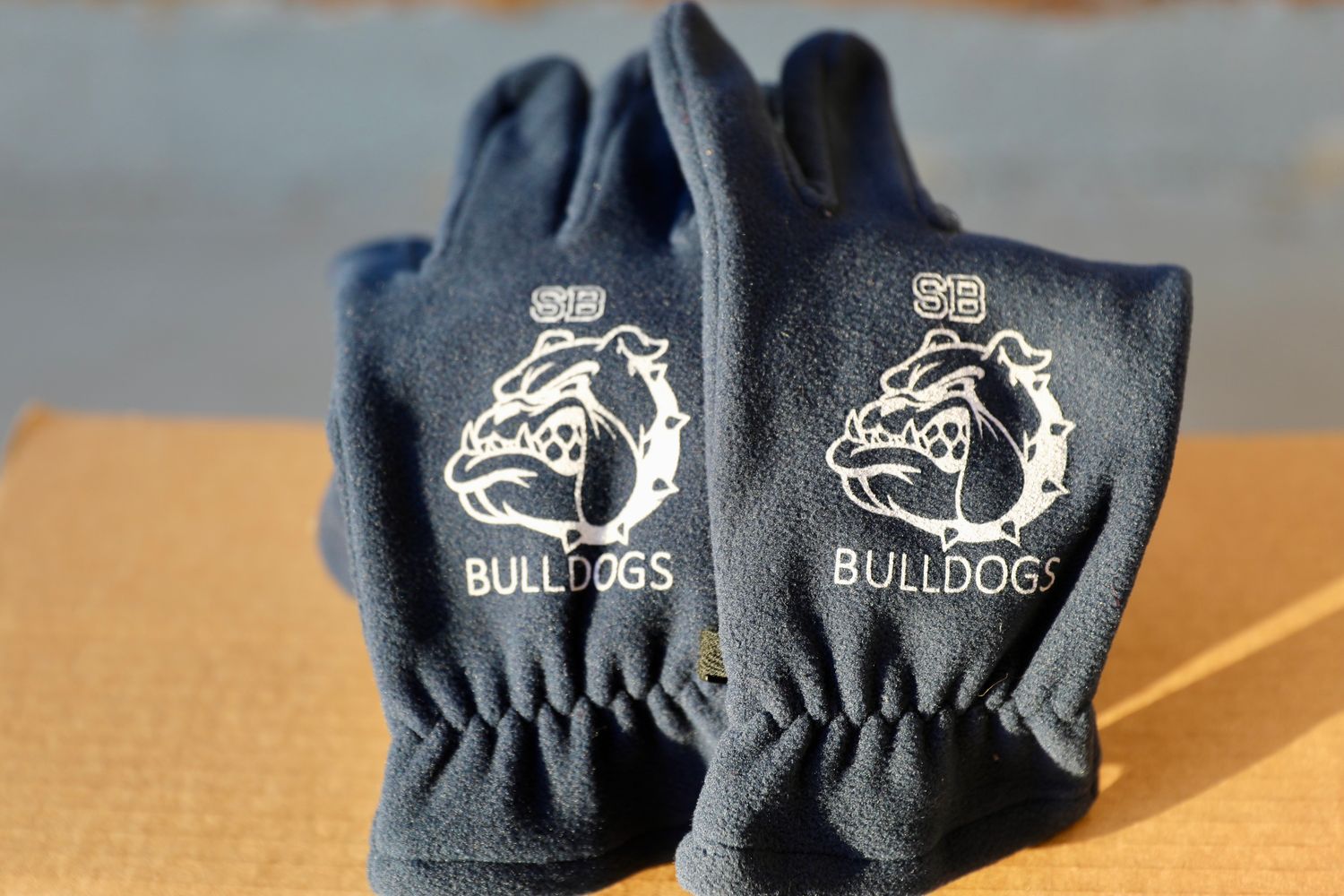 Navy Fleece Gloves