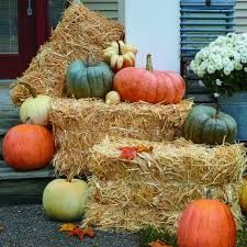 Full Straw Bales