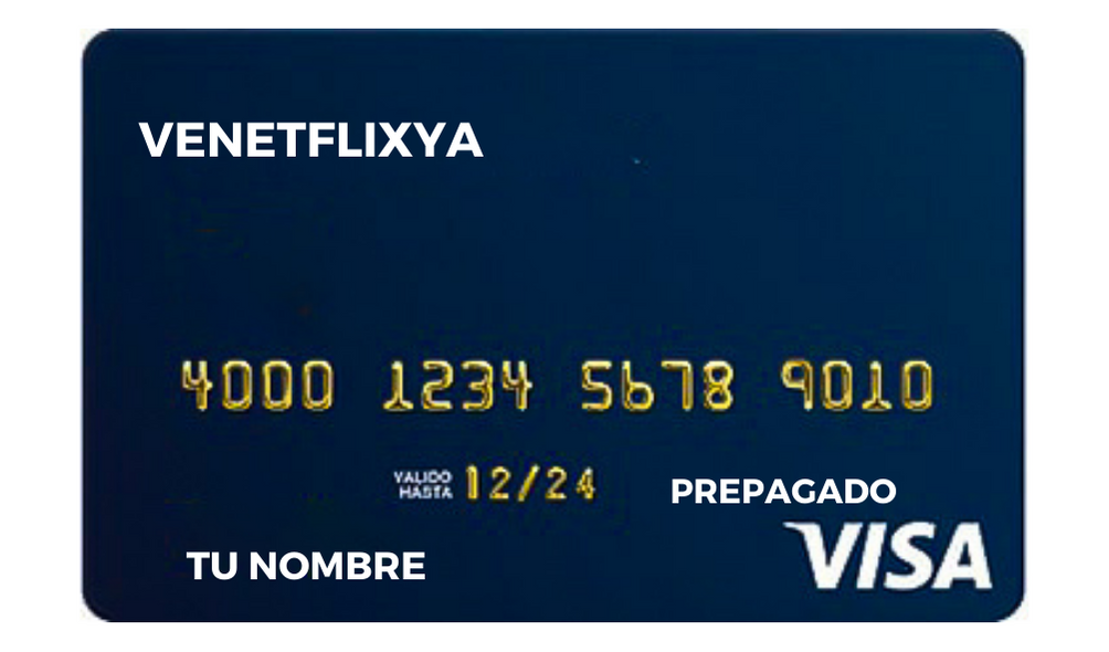 TARJETA DE CRÉDITO VISA EN DÓLARES PREPAGADA VIRTUAL. (ENTREGA INMEDIATA) PARA COMPRAS POR INTERNET