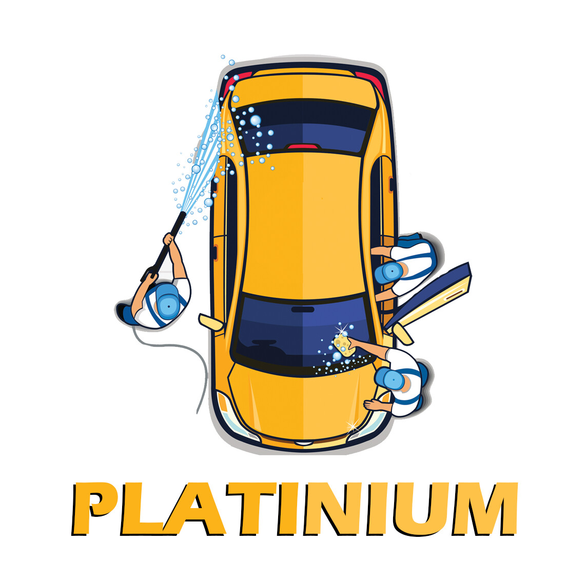 Nettoyage Platinium