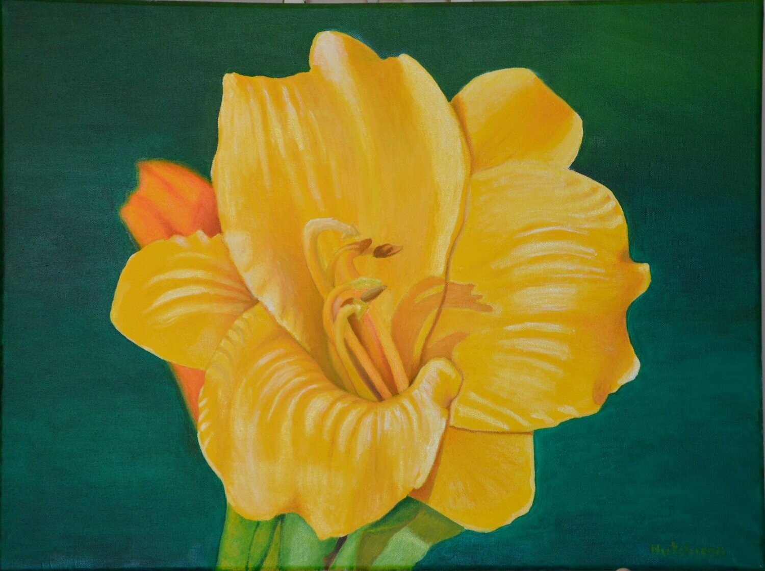 Lily in Morning Light