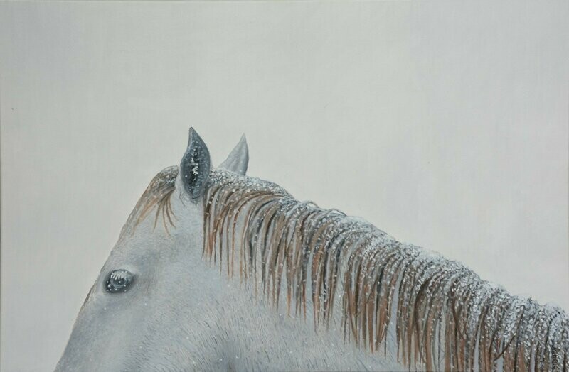 Snowy Mane