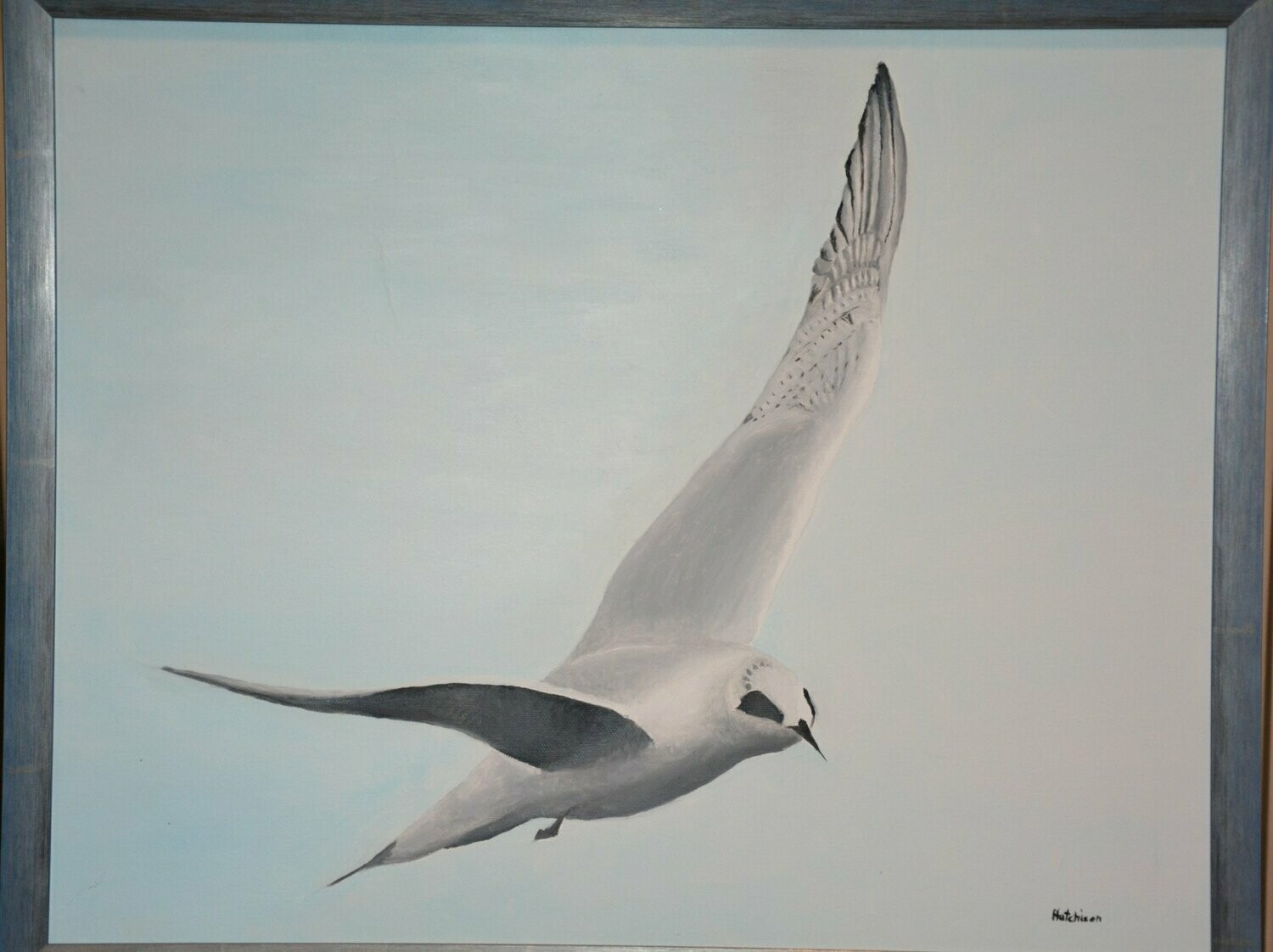 Circling Bird