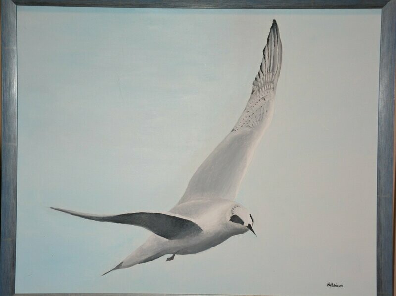 Circling Bird