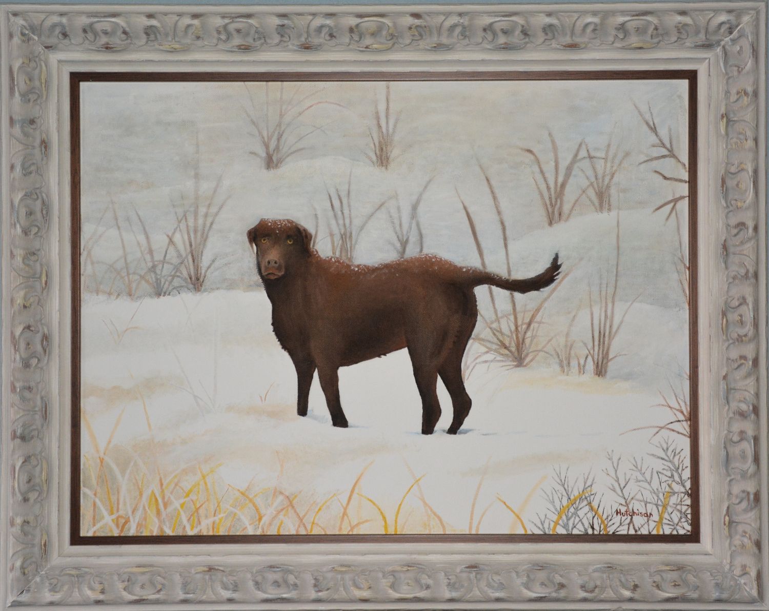 Gracie in Pat Mayse Snow