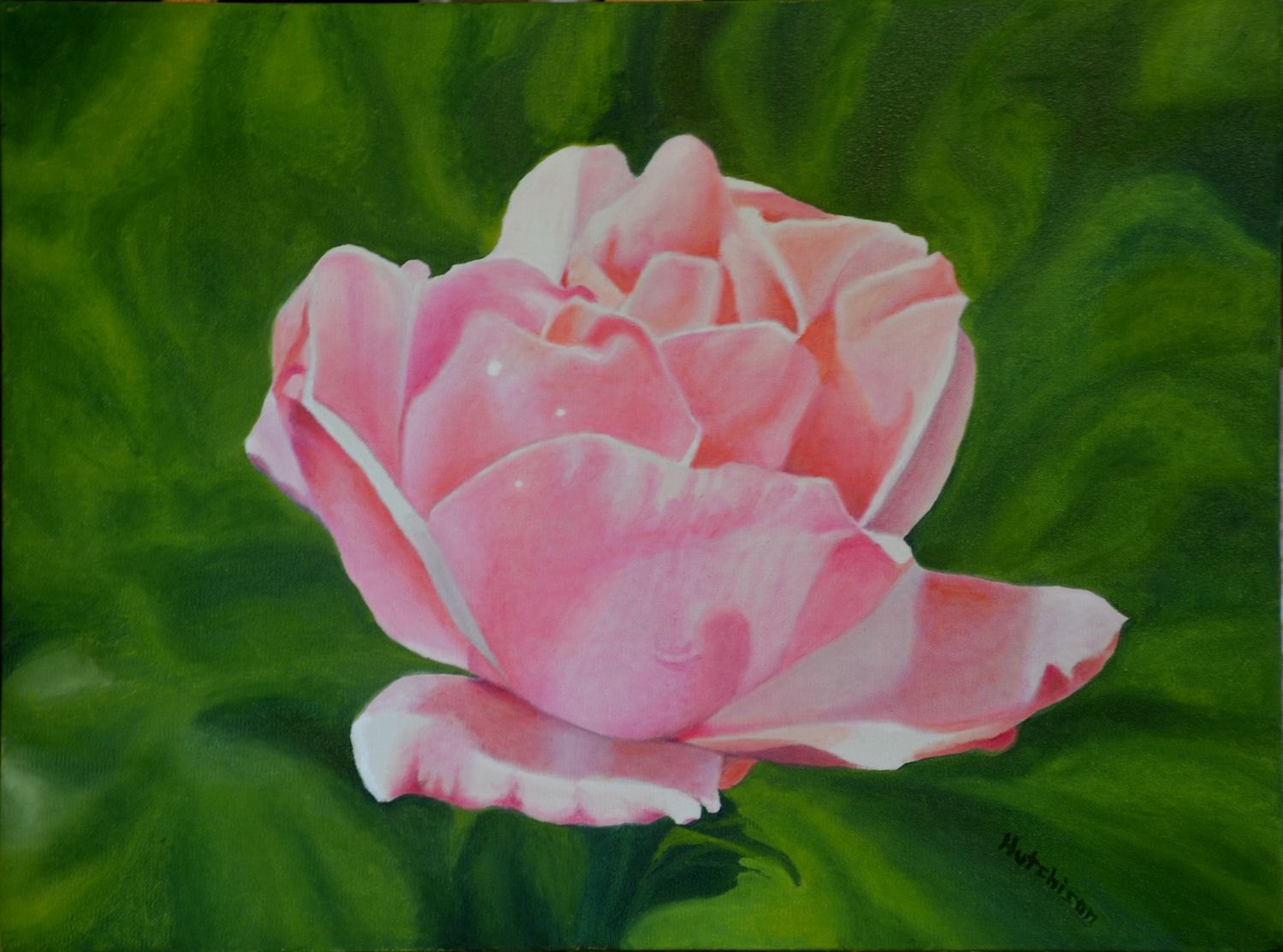 Delicate Rose