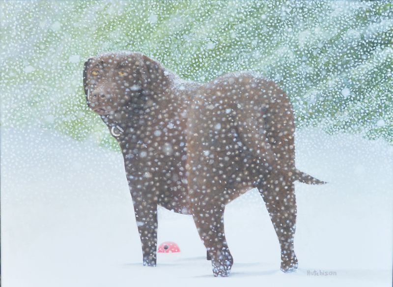Gracie looking back in snow