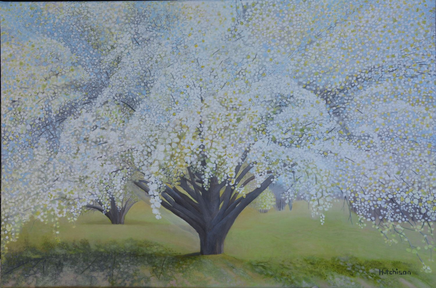 Blooming Tree