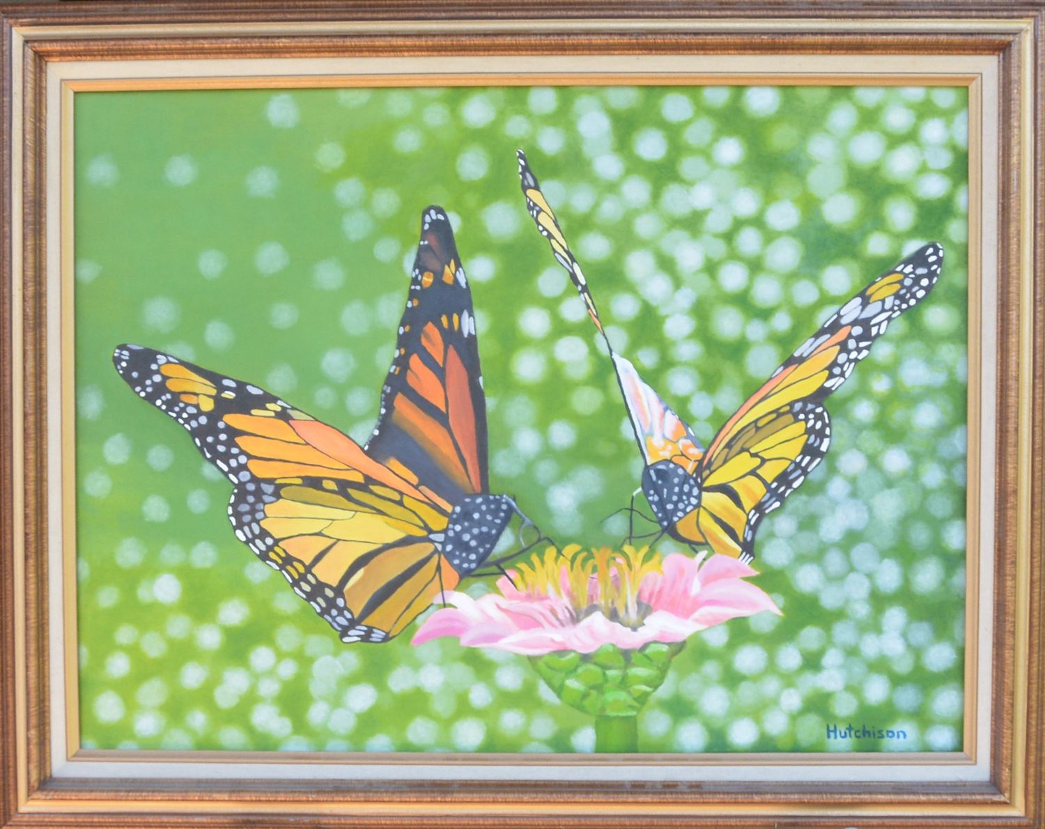 Butterflies on Flower