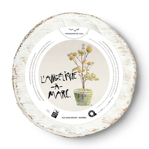 L'Angélique-À-Marc