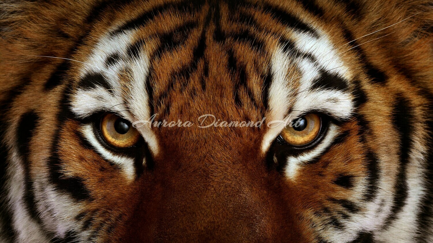 Tiger Eyes Diamond Painting