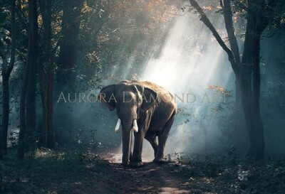 Elephant On Misty Track Diamond Painting