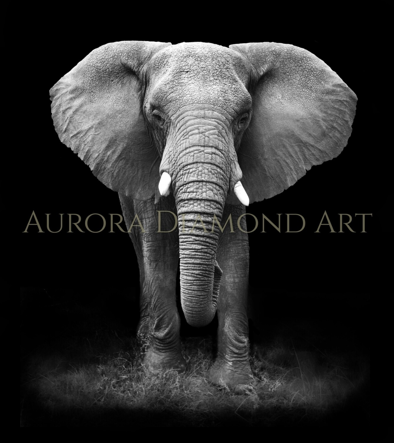 Elephant (Black & White) Diamond Painting