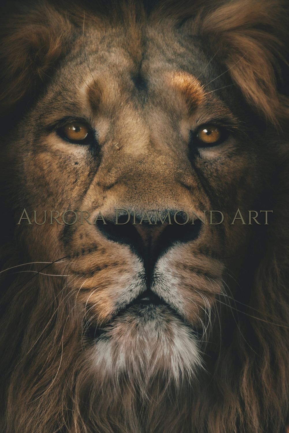 Smouldering Lion Diamond Painting