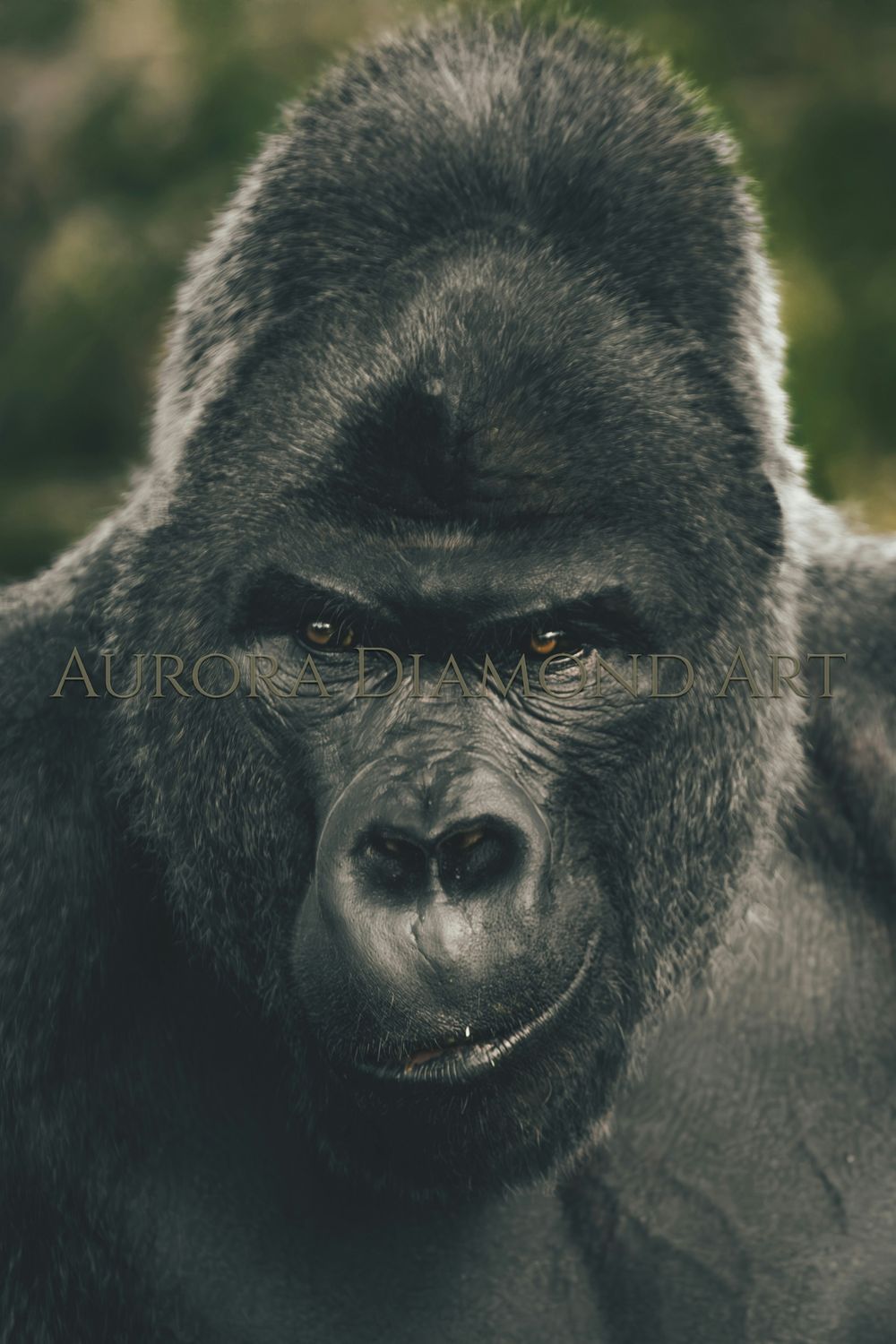 Cheeky Gorilla Diamond Painting