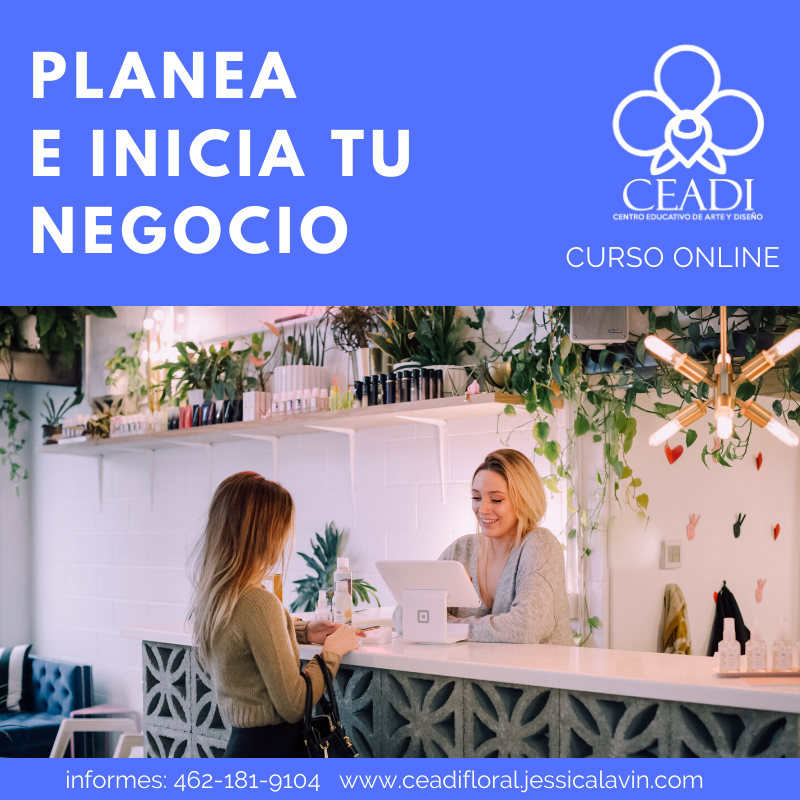 Curso Online Planea e Inicia tu Negocio