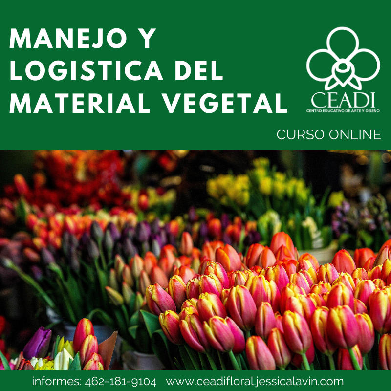 Curso Online Manejo y Logistica del Material Vegetal