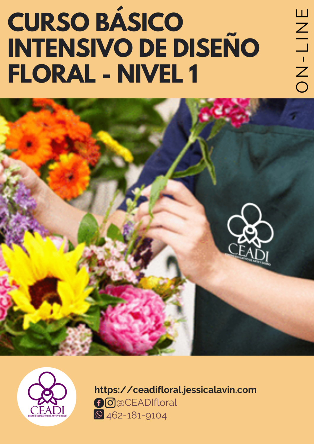 Curso Básico Intensivo  Nivel 1 Online