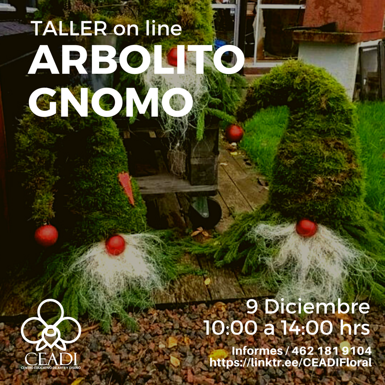 Taller Pinito Duende / Gnomo Navideño