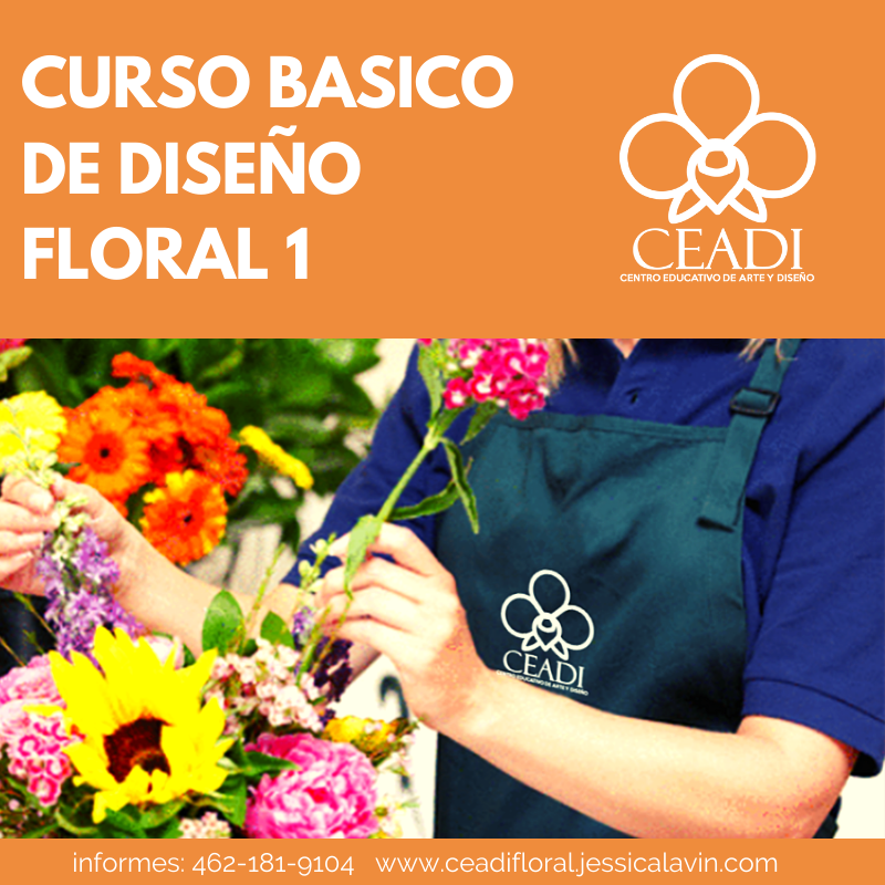 Curso Presencial Básico de Diseño Floral Nivel 1