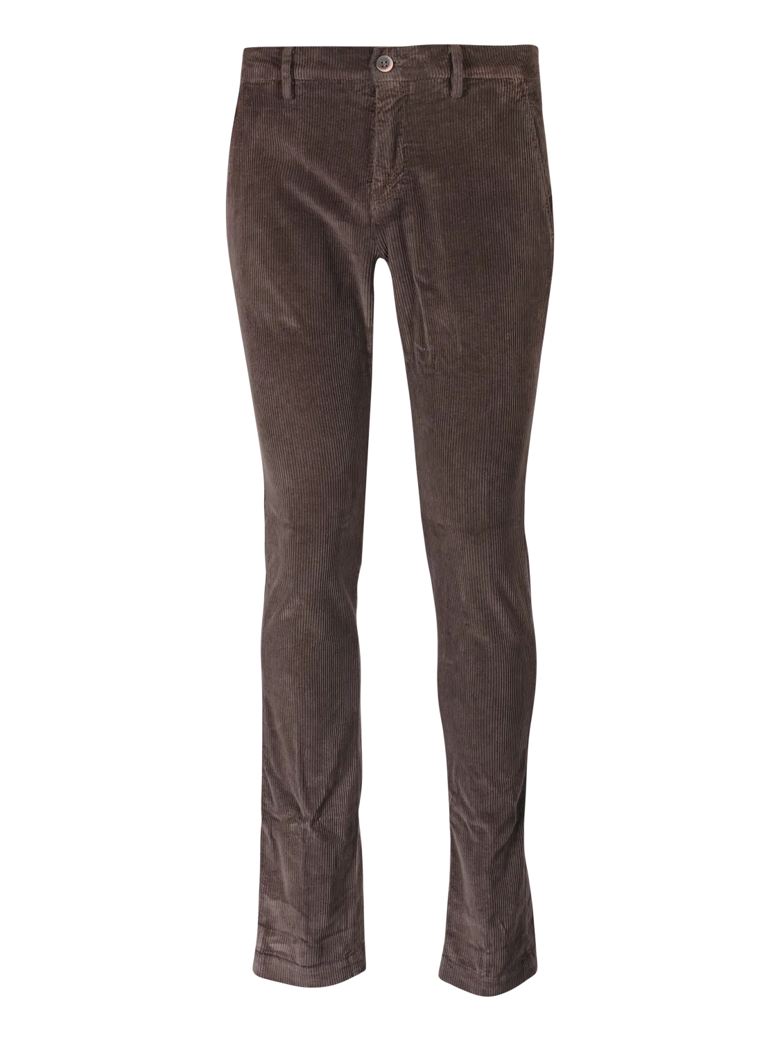 Mason's Chino
