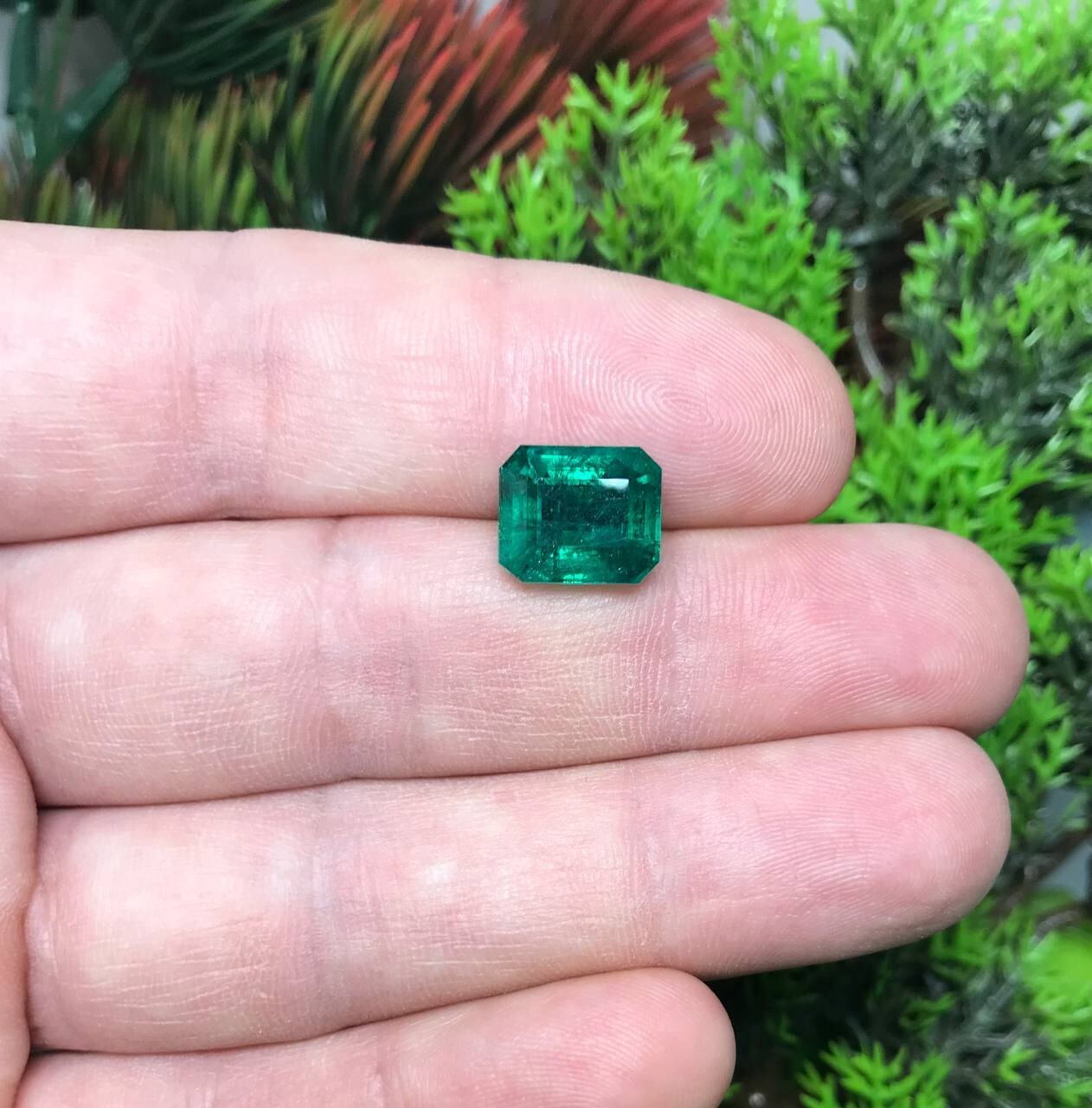Emerald Octagon cut 4.69 ct