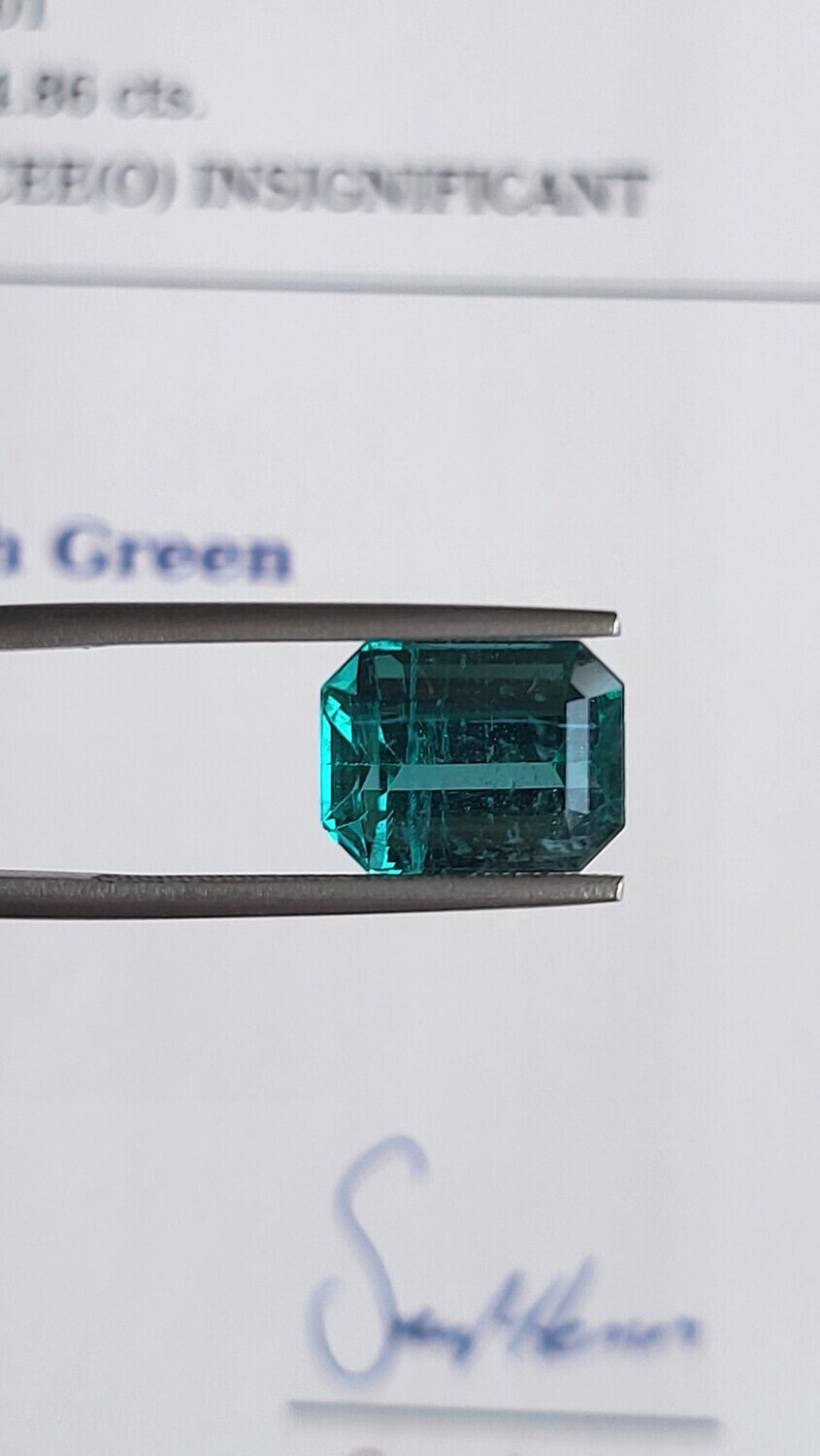 Emerald octagon cut 8.87 ct