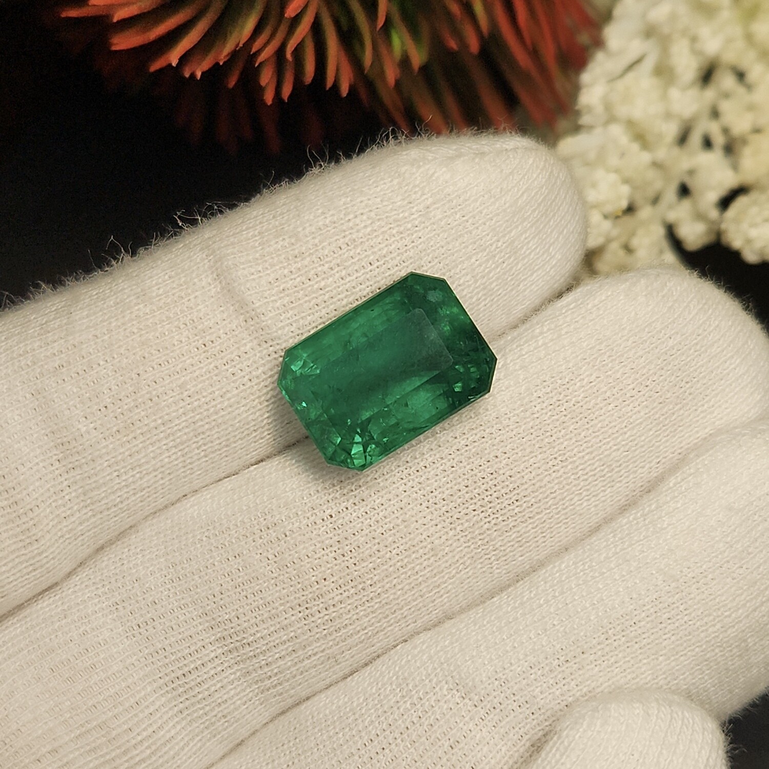 Emerald Octagon cut 15.07 ct