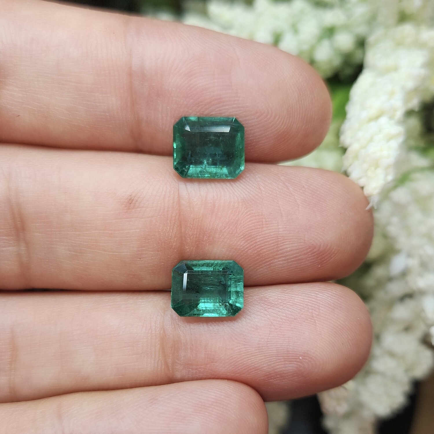 Emerald octagon cut pair 2.64 ct and 2.91 ct