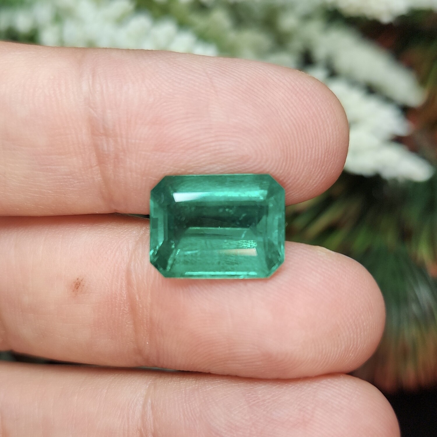 Emerald octagon cut 8.99 ct