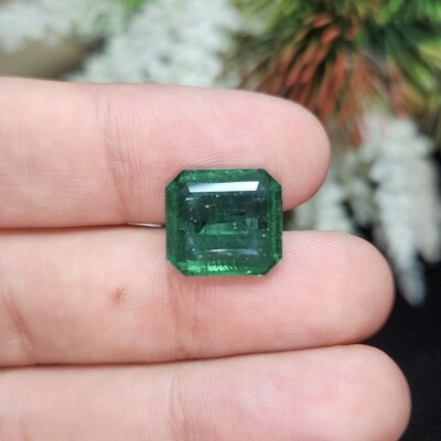 Emerald octagon cut 11.58 ct