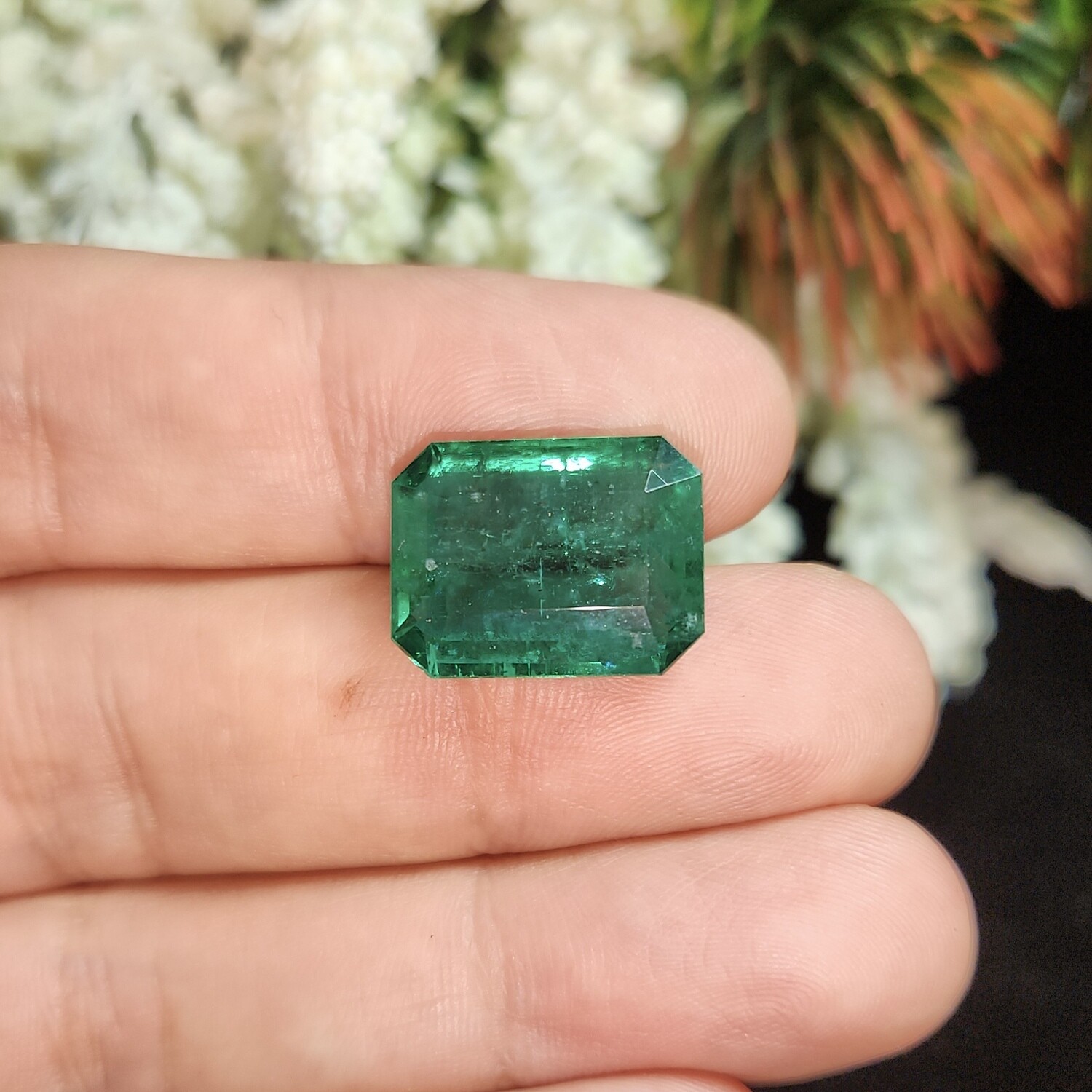 Emerald octagon cut 17.07 ct