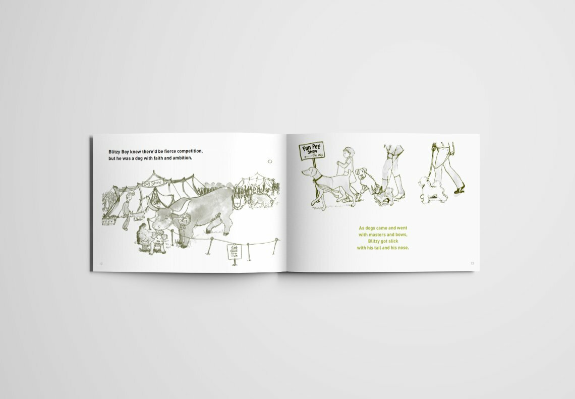 BLITZY BOY ON CATTLE SHOW DAY