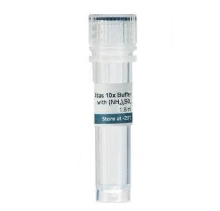 Sample PCR Buffer 500ul