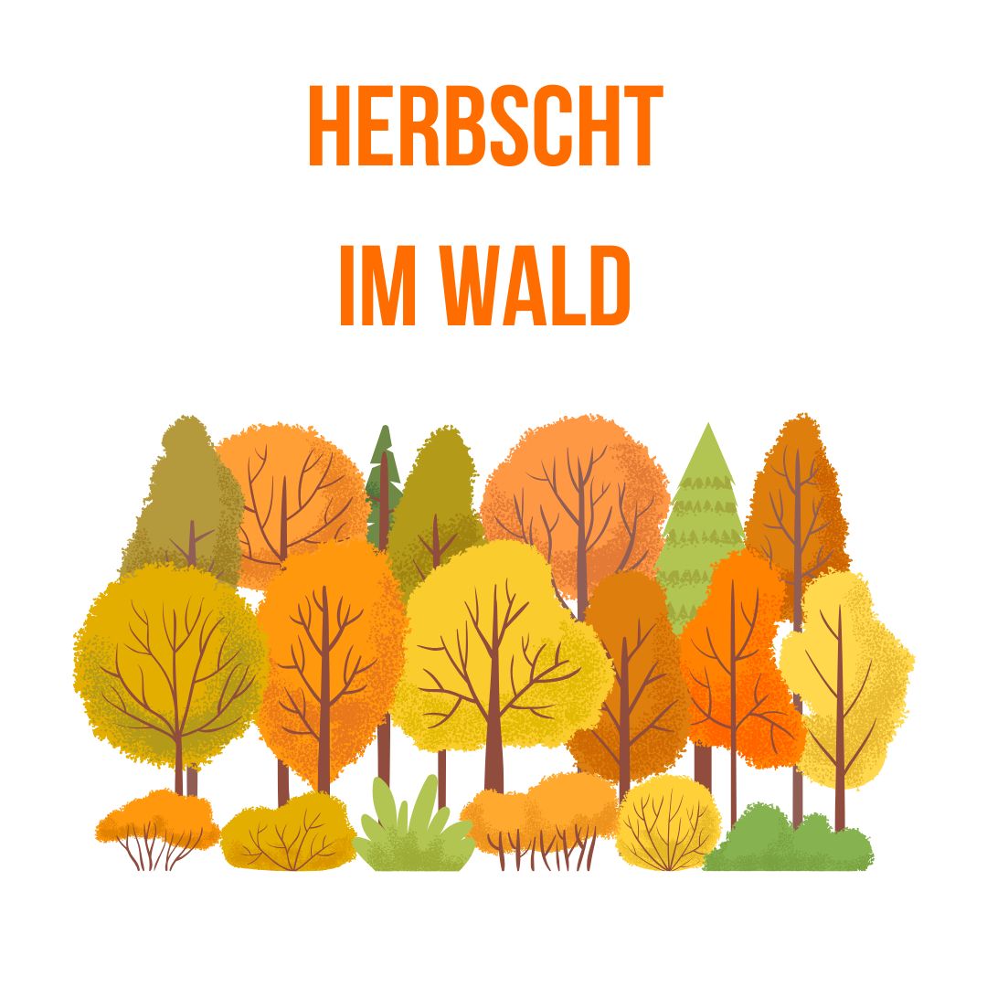 Herbscht im Wald
