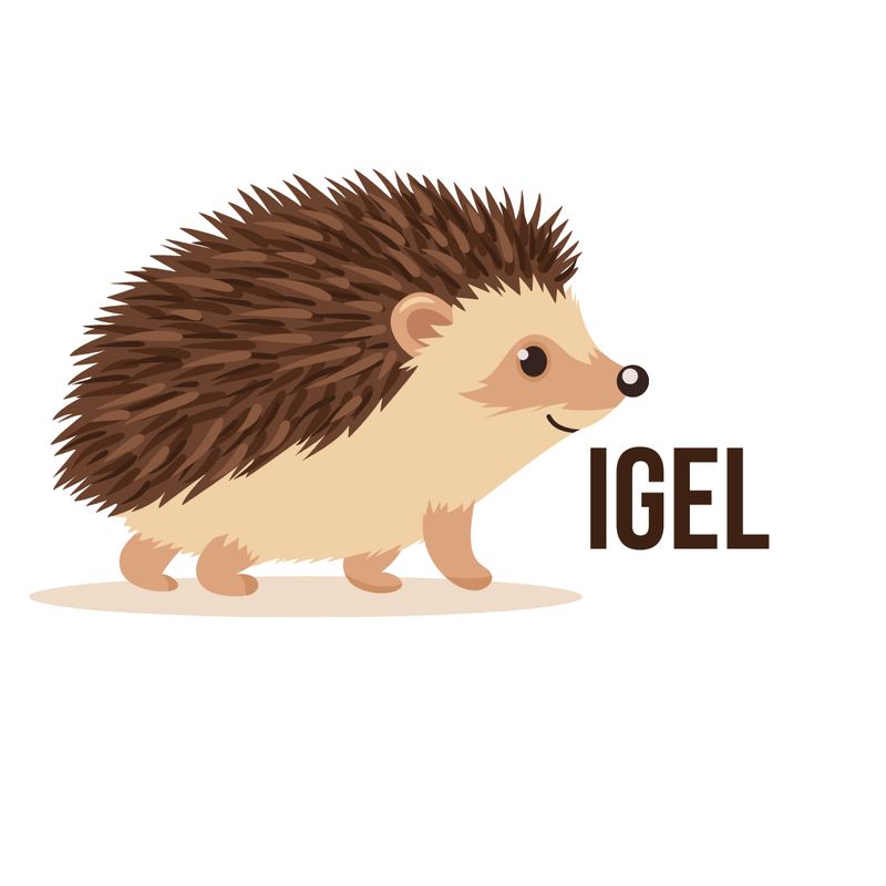 Igel