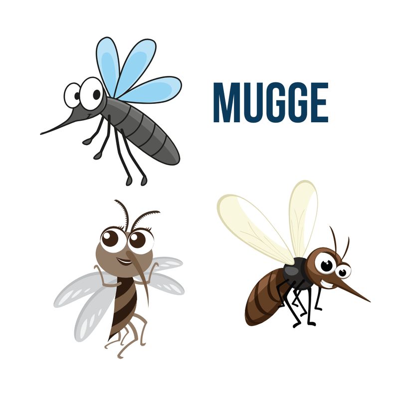 Mugge