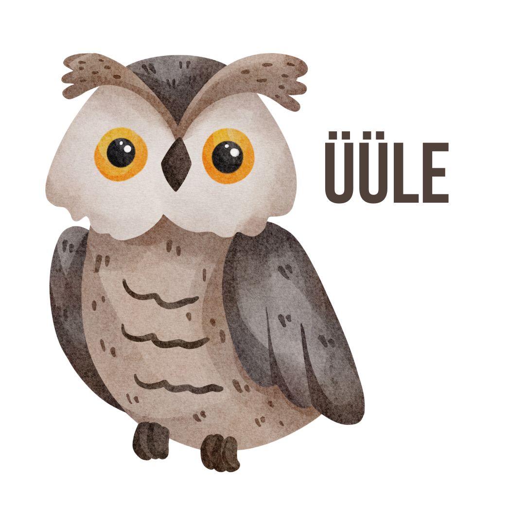 Üüle