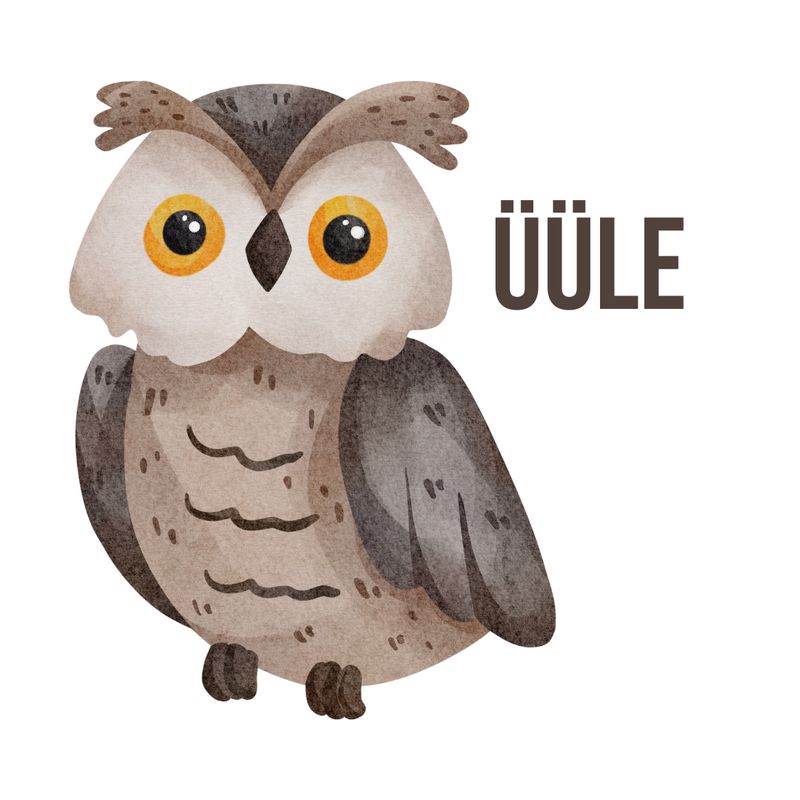 Üüle