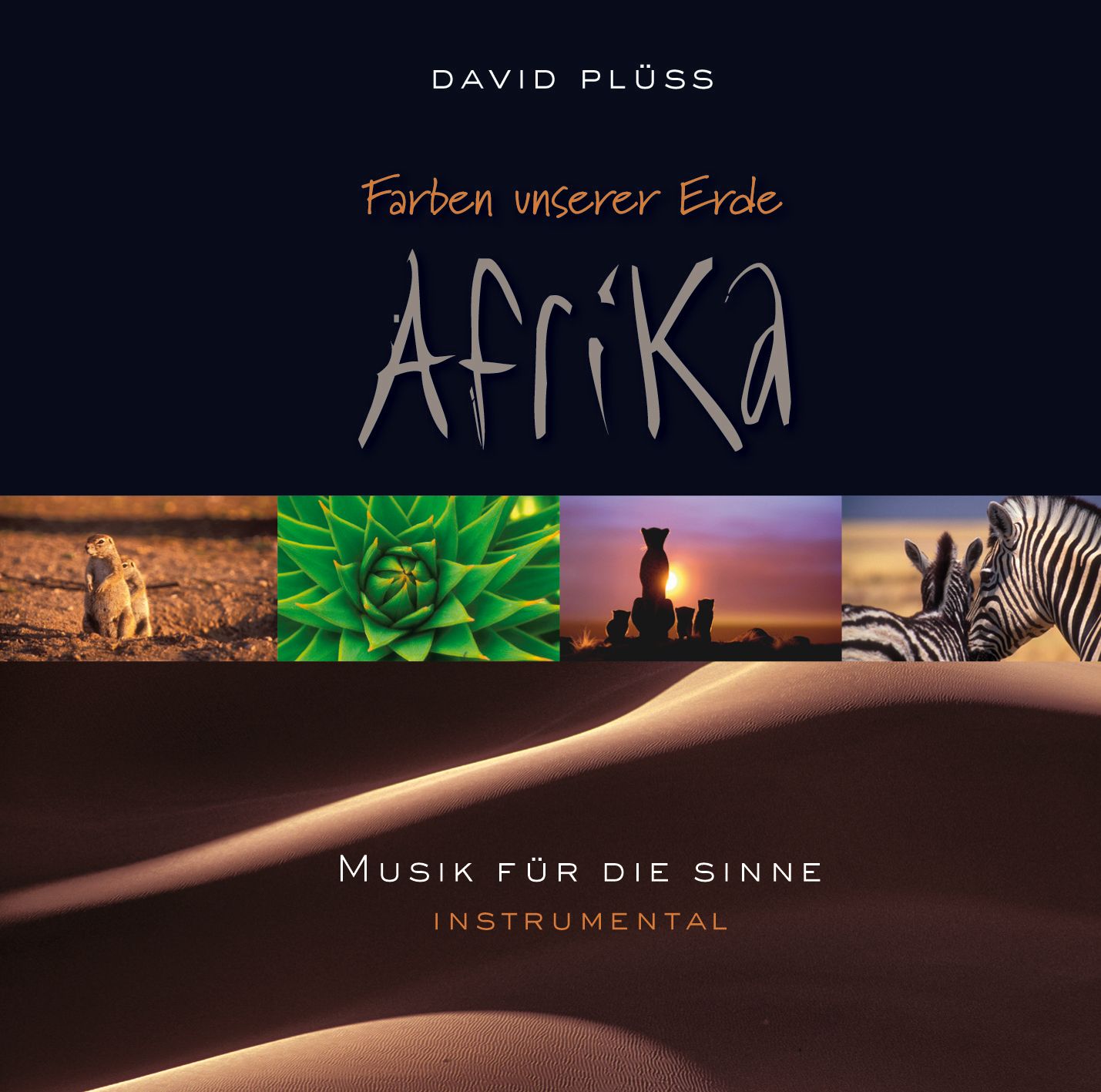 Afrika - David Plüss