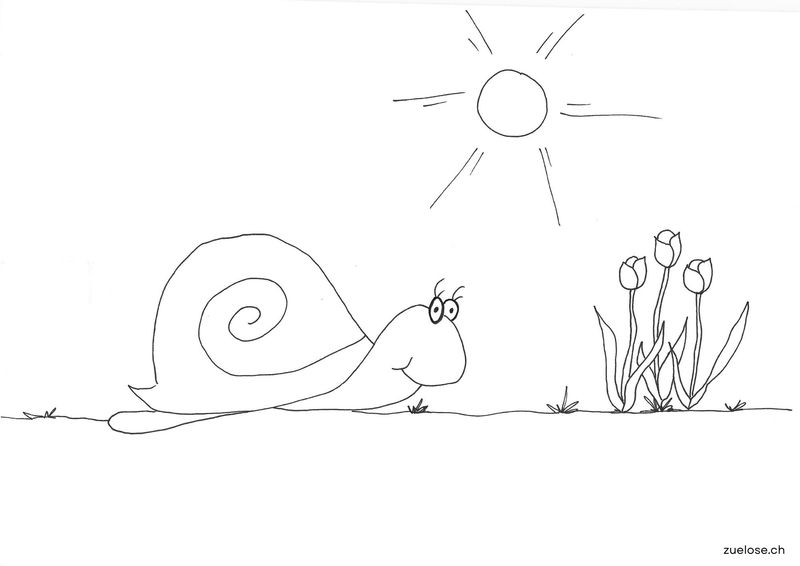 Ausmalbild Schnecke