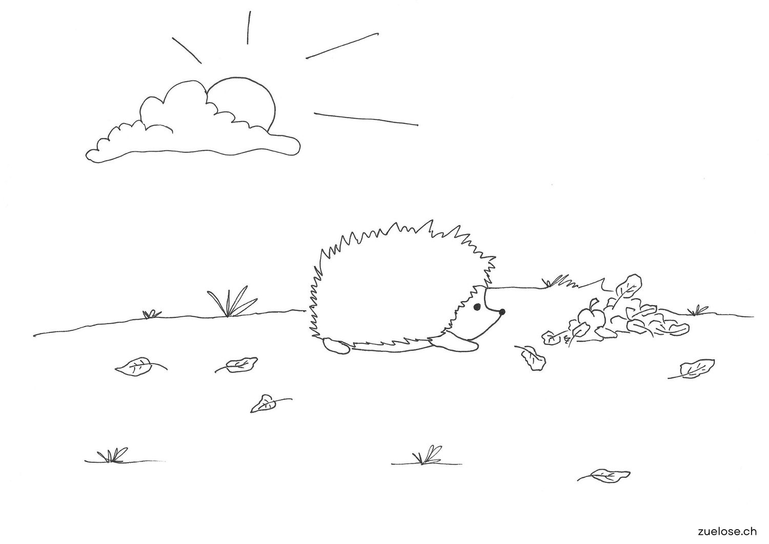Ausmalbild Igel