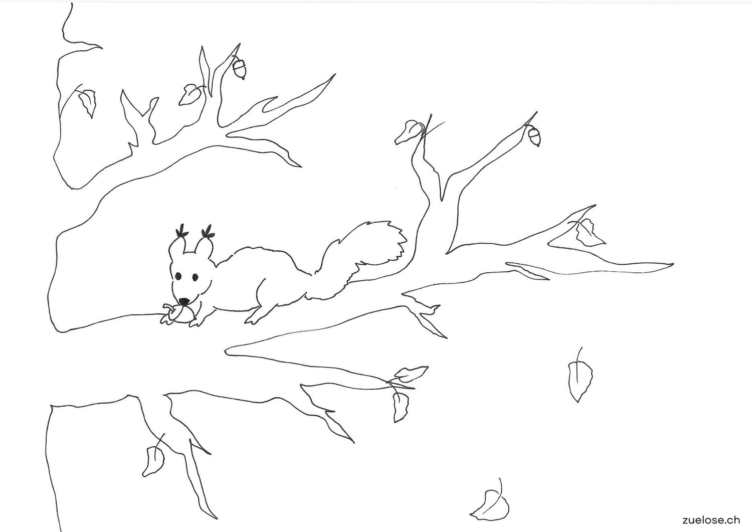 Ausmalbild Eichhörnchen