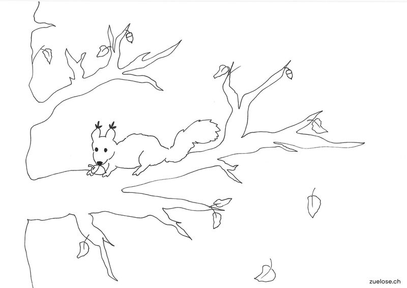 Ausmalbild Eichhörnchen