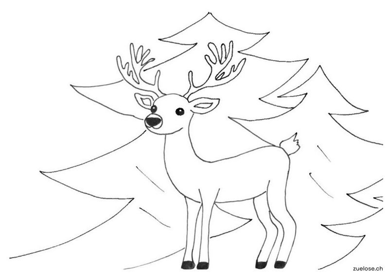 Ausmalbild Hirsch
